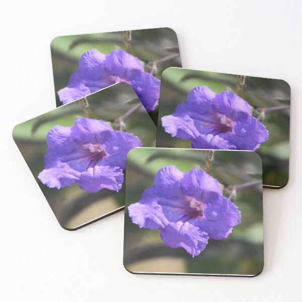 Item preview, Mexican Petunia Bloom designed and sold by MercerImages.
