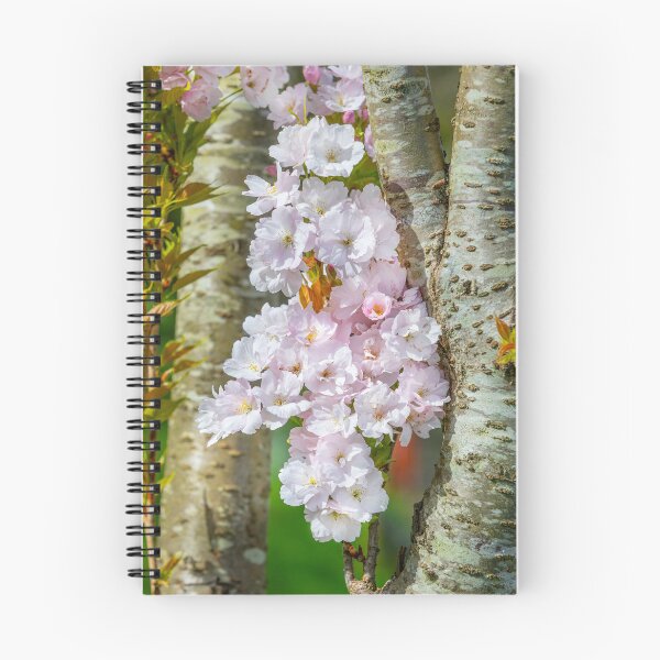 Item preview, Spring blossom designed and sold by Dave Hare Photography.