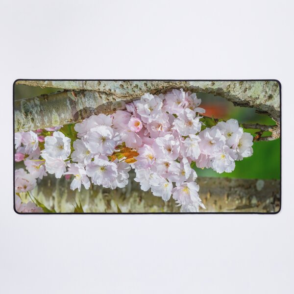 Item preview, Spring blossom designed and sold by Dave Hare Photography.