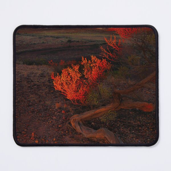 Item preview, Winter Sunset - Kanku -The Breakaways 2 designed and sold by Lexa Harpell.