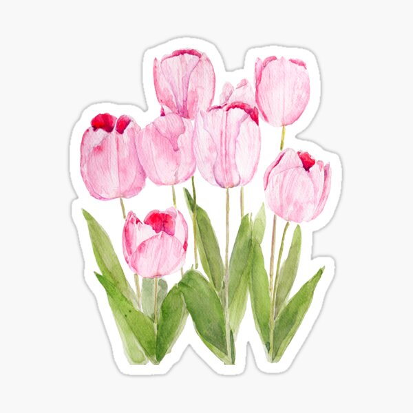 Aperçu de l'œuvre Aquarelle de tulipes roses peinte à la main  créée et vendue par ColorandColor.