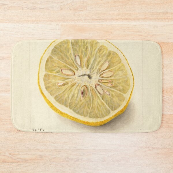 Item preview, Citrus sinensis Ichang Lemon Scientific Illustration designed and sold by Lacasadellora.