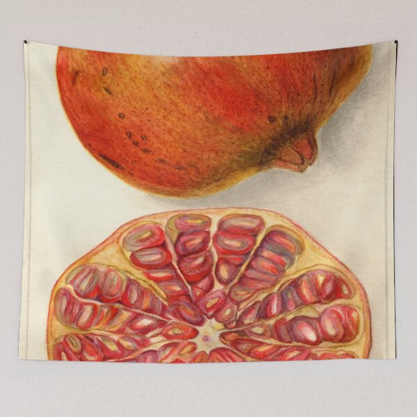 Item preview, Punica Granatum Pomegranate Scientific Illustration designed and sold by Lacasadellora.