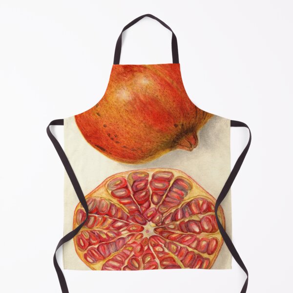 Item preview, Punica Granatum Pomegranate Scientific Illustration designed and sold by Lacasadellora.