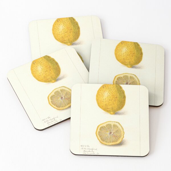 Item preview, Citrus limon, Lemon Scientific Vintage Illustration designed and sold by Lacasadellora.