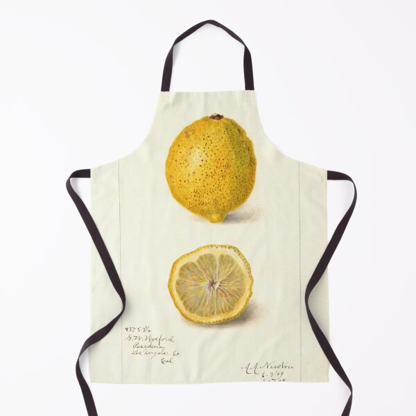 Item preview, Citrus limon, Lemon Scientific Vintage Illustration designed and sold by Lacasadellora.