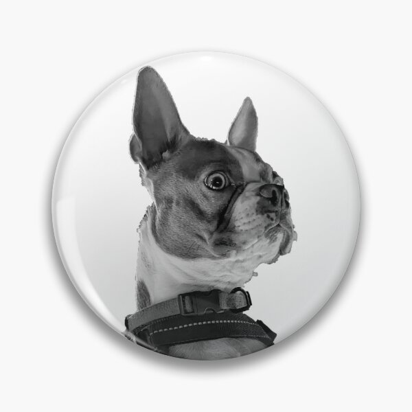 Item preview, Harvie the Boston Terrier designed and sold by Glasgowbud.