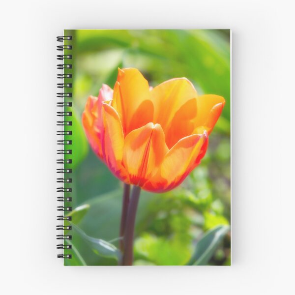 Item preview, Orange Flower designed and sold by Dave Hare Photography.