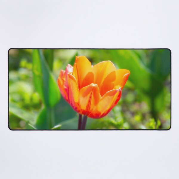 Item preview, Orange Flower designed and sold by Dave Hare Photography.