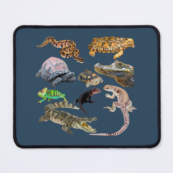 Item preview, R is for Reptile. Reptile Artwork – Detailed Illustration and Wildlife Design of Exotic Reptiles designed and sold by PrettylittlepastelUk.