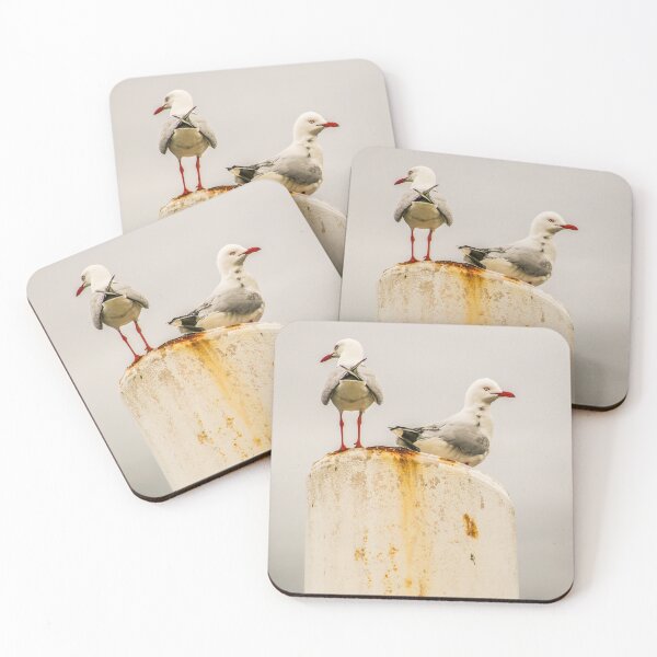 Item preview, Two Seagulls designed and sold by sonjas.