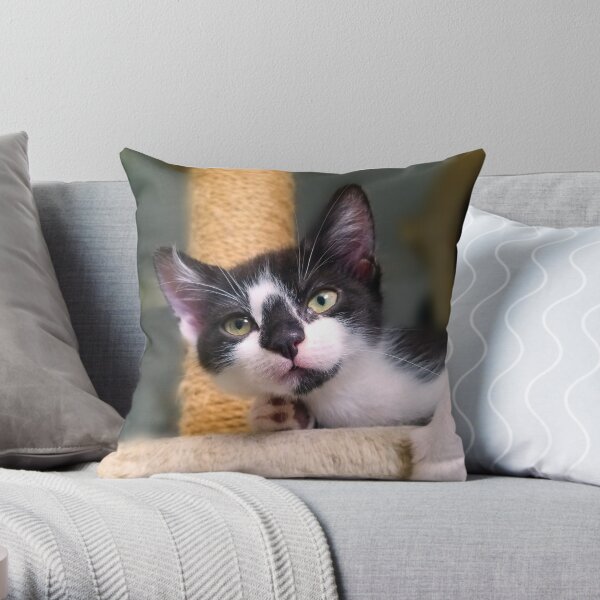 Dia doll - what happens now? Throw Pillow
