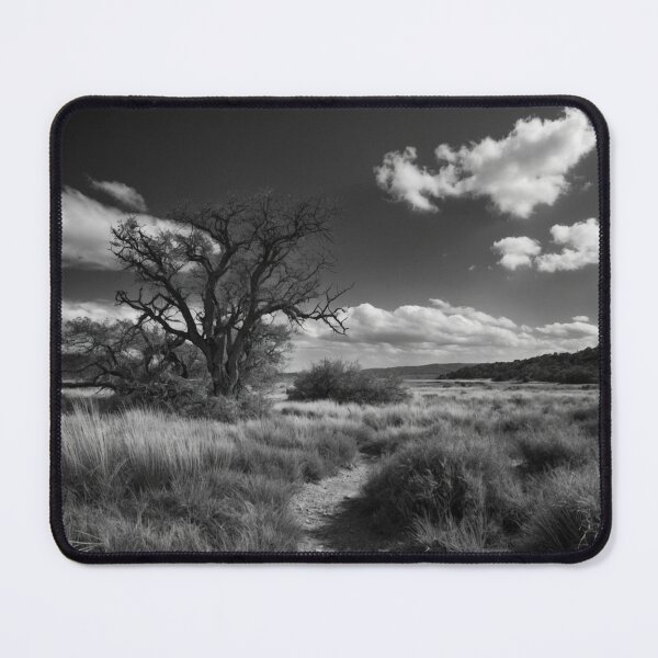 Item preview, Desert Mirage: HDR Monochrome Imagery  designed and sold by ShadeScapeArt.