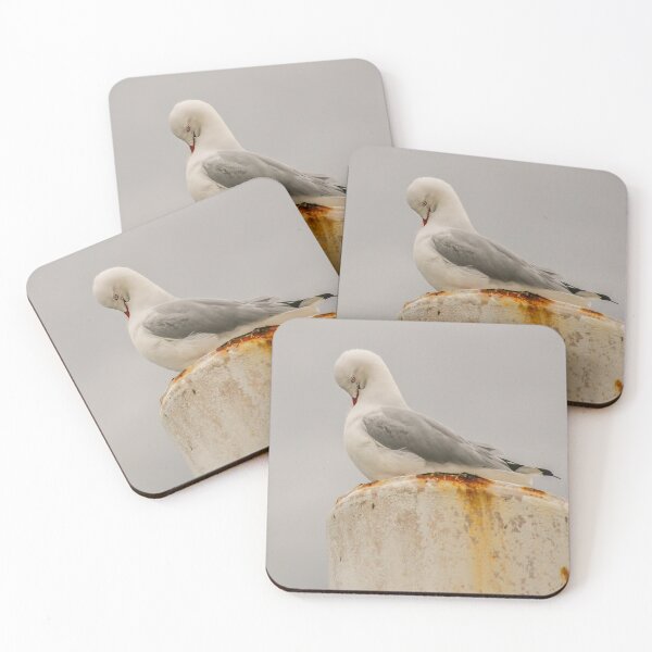 Item preview, Cute Seagull designed and sold by sonjas.