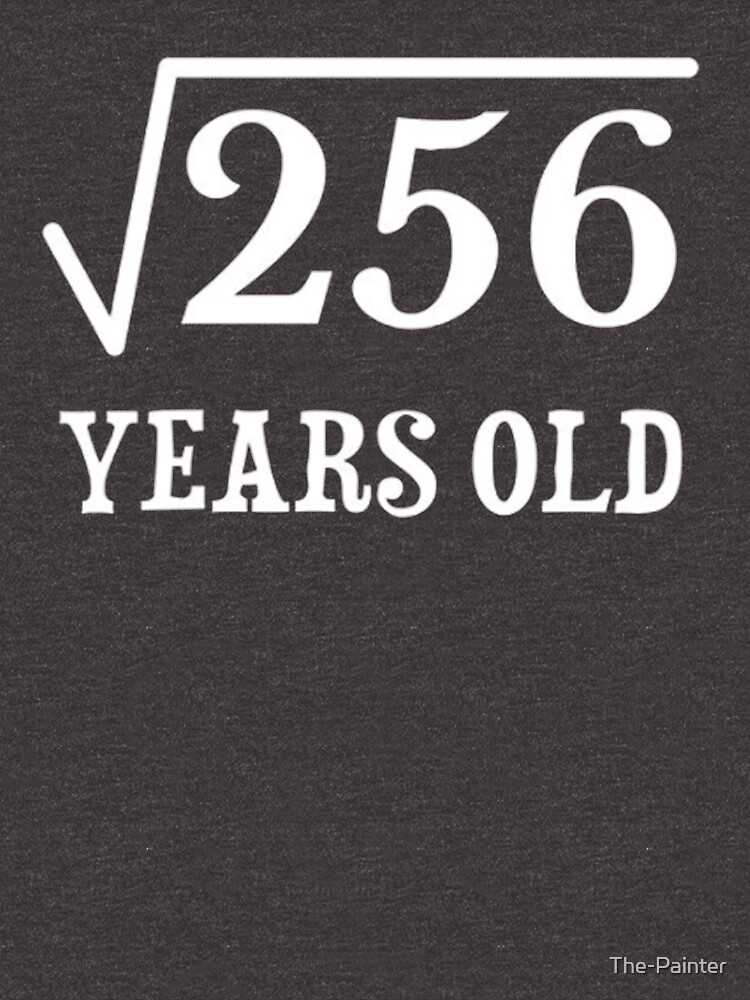 Square Root Of 256 16 Yrs Years Old 16th Birthday T Shirt T Idea T