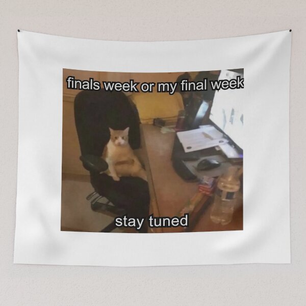 Item preview, finals week or my final week stay tuned designed and sold by cloudzer0000.