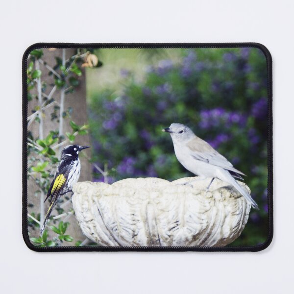 Item preview, Gilbert's Whistler and New Holland Honeyeater meet at the birdbath designed and sold by imaginethis.
