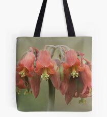 Cotyledon flower Tote Bag
