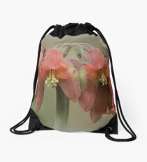 Cotyledon flower Drawstring Bag