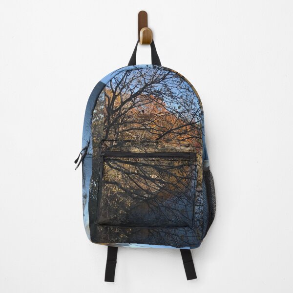 Item preview, Lake in Central Park in the fall in NYC designed and sold by OutOfTordinary.