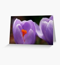 Glowing In The Center Greeting Card