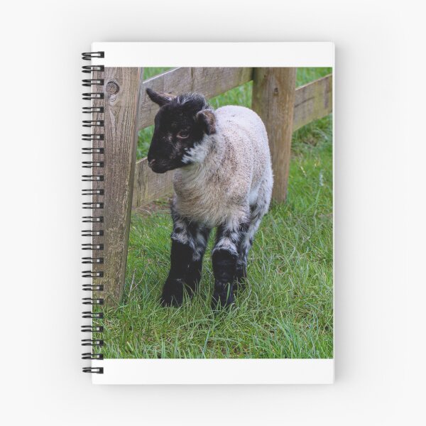 Item preview, Springtime lamb designed and sold by Martin Fenton.
