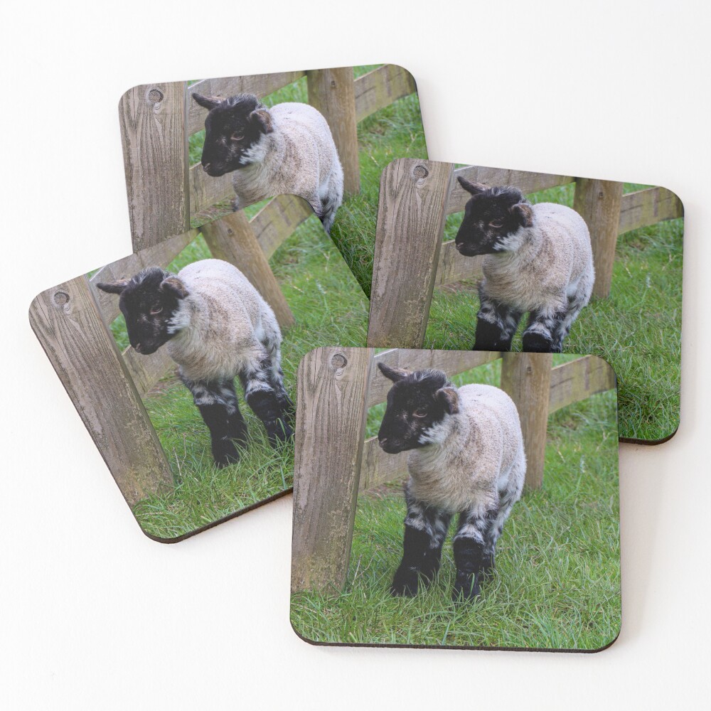 Item preview, Coasters (Set of 4) designed and sold by MartinFenton.