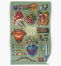 Items of the wild Poster