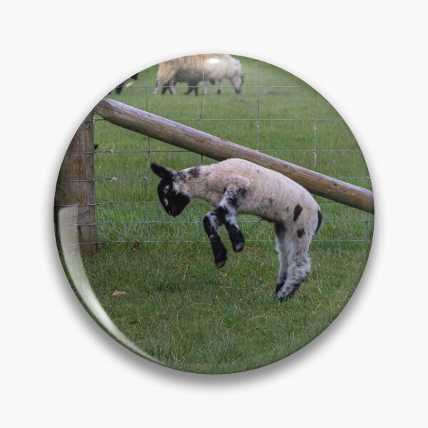 Item preview, Lamb jumping for joy designed and sold by Martin Fenton.