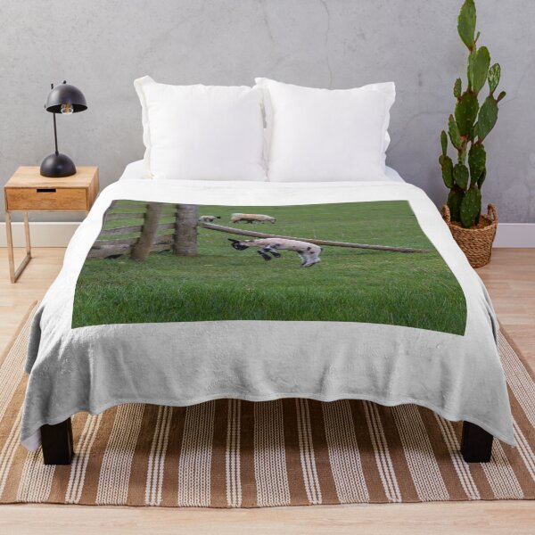 Item preview, Lamb jumping for joy designed and sold by Martin Fenton.