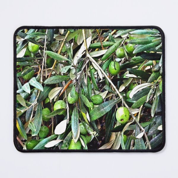 Item preview, Olives on the tree, Skopelos, watercolour effect designed and sold by paulboizot.