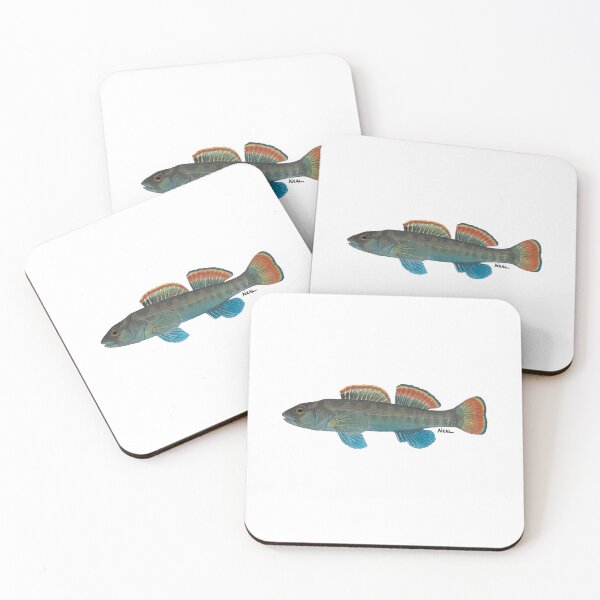 Item preview, Etowah Darter designed and sold by LeakyCanoeArt.