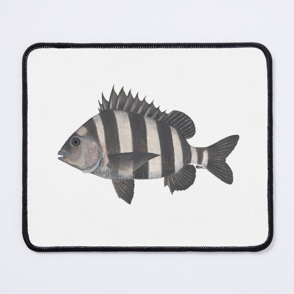 Item preview, Sheepshead designed and sold by LeakyCanoeArt.