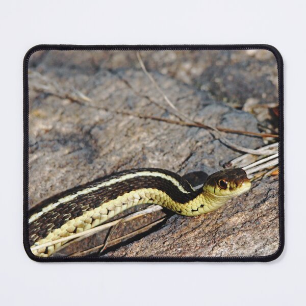 Item preview, Slither designed and sold by Debbie Oppermann.