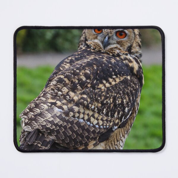 Item preview, Looking at you designed and sold by Martin Fenton.
