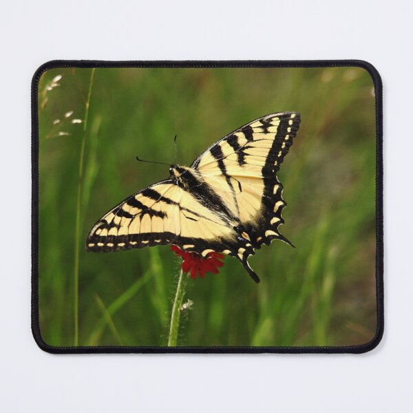Item preview, Tiger Stripes designed and sold by Debbie Oppermann.