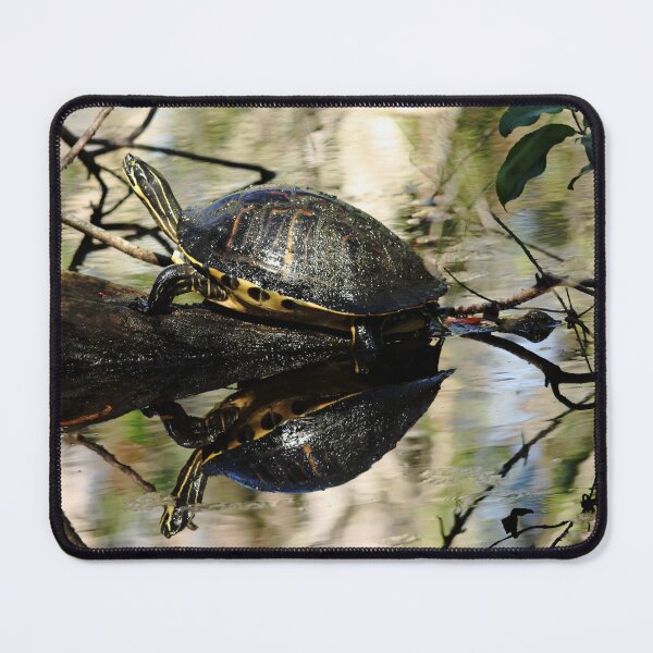 Item preview, Cooter Reflections designed and sold by Debbie Oppermann.