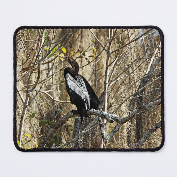 Item preview, Anhinga designed and sold by Debbie Oppermann.