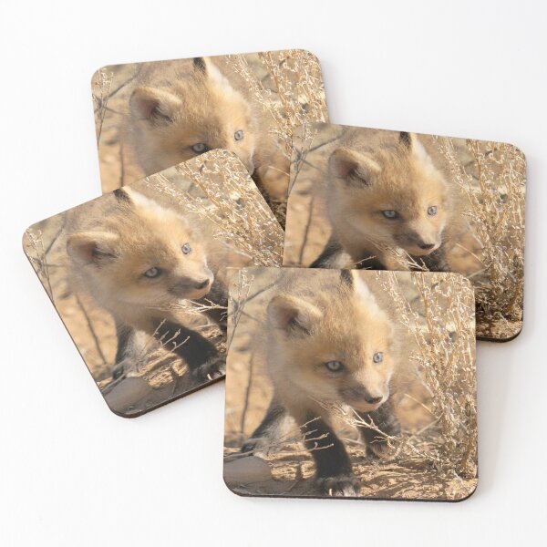 Item preview, Baby Fox designed and sold by Betsy Seeton.