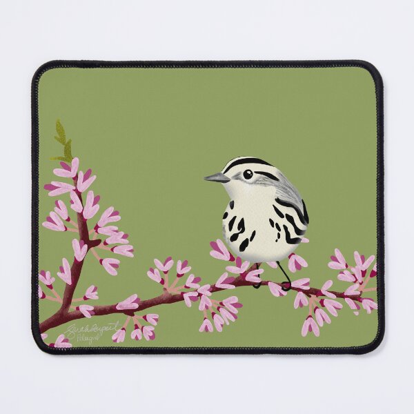 Item preview, Black-and-white Warbler female on Redbud designed and sold by Peleegirl.