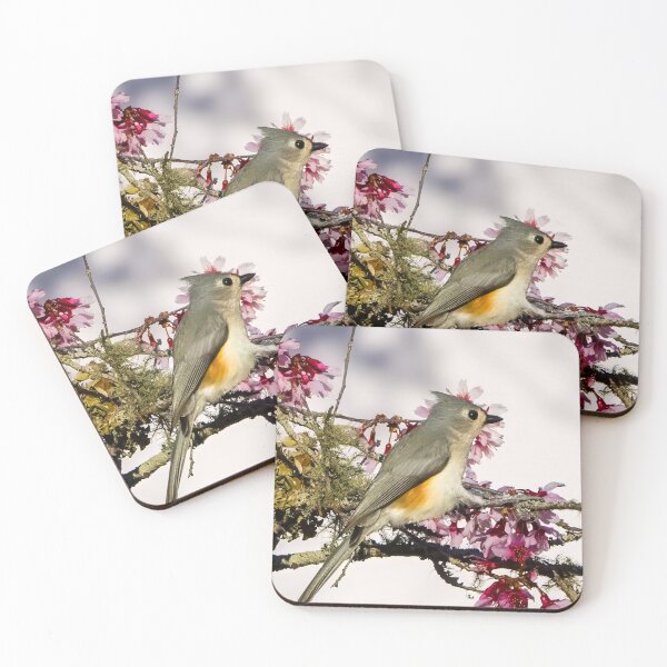 Item preview, Tufted Titmouse designed and sold by ishotit4u.