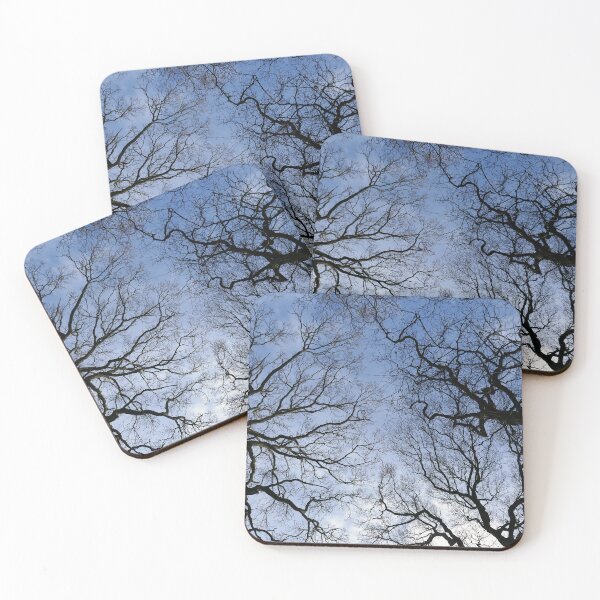 Item preview, Winter Oaks 2 designed and sold by paulboizot.
