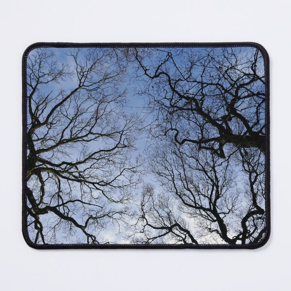 Item preview, Winter Oaks 2 designed and sold by paulboizot.