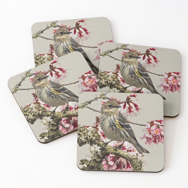 Item preview, Myrtle Warbler designed and sold by ishotit4u.