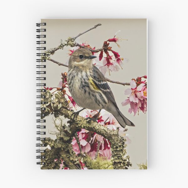 Item preview, Myrtle Warbler designed and sold by ishotit4u.