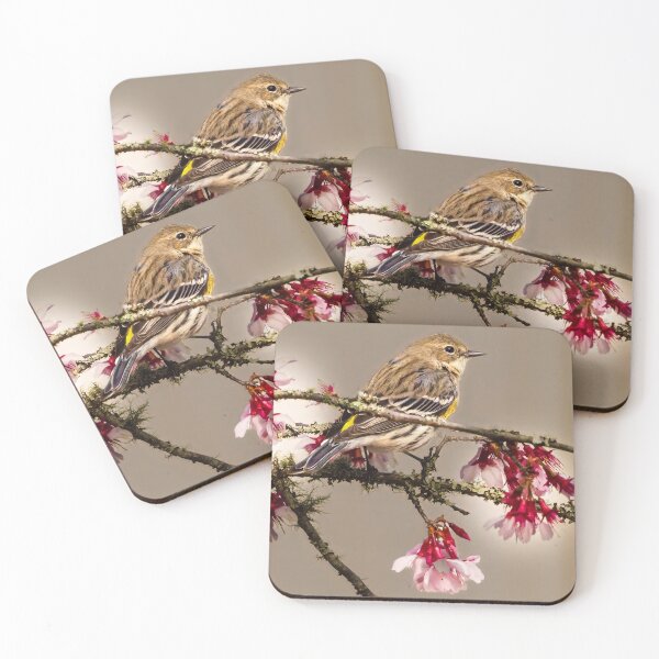 Item preview, Myrtle Warbler designed and sold by ishotit4u.