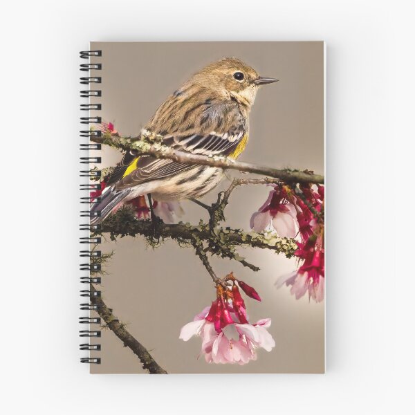 Item preview, Myrtle Warbler designed and sold by ishotit4u.