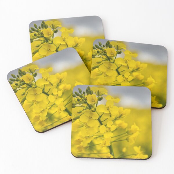 Item preview, Oilseed rape designed and sold by JEZ22.