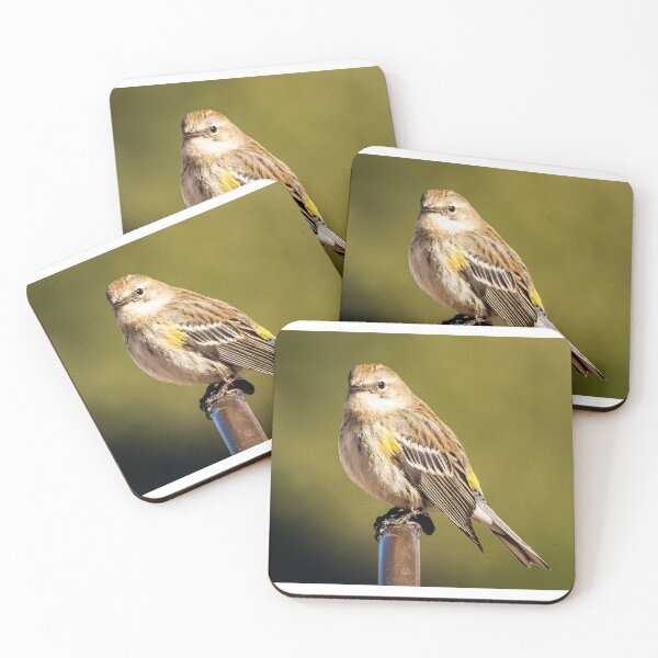Item preview, Myrtle Warbler designed and sold by ishotit4u.
