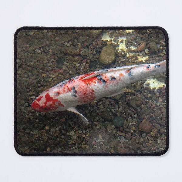 Item preview, Happy Koi designed and sold by heatherfriedman.